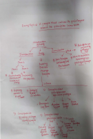 essay 3.pdf